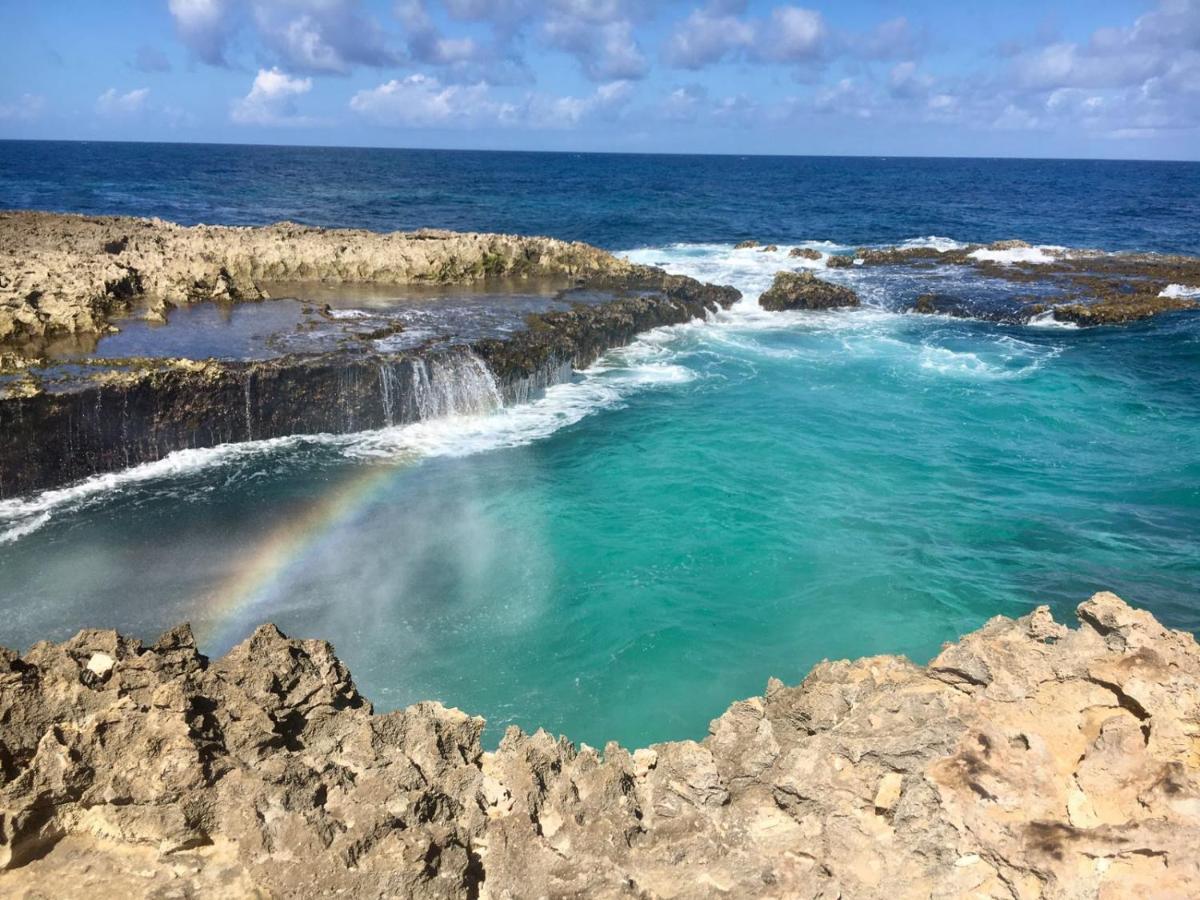 Palmita Hostel Aruba Oranjestad Zewnętrze zdjęcie